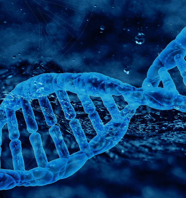 微生物技术 只为“酶”好明天