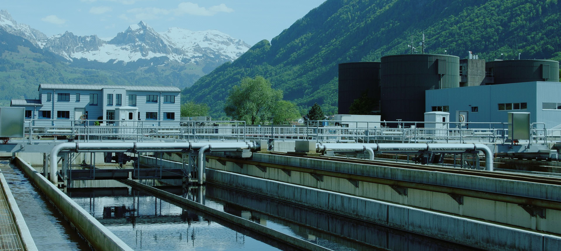 “酶”好环境 “菌”可改变