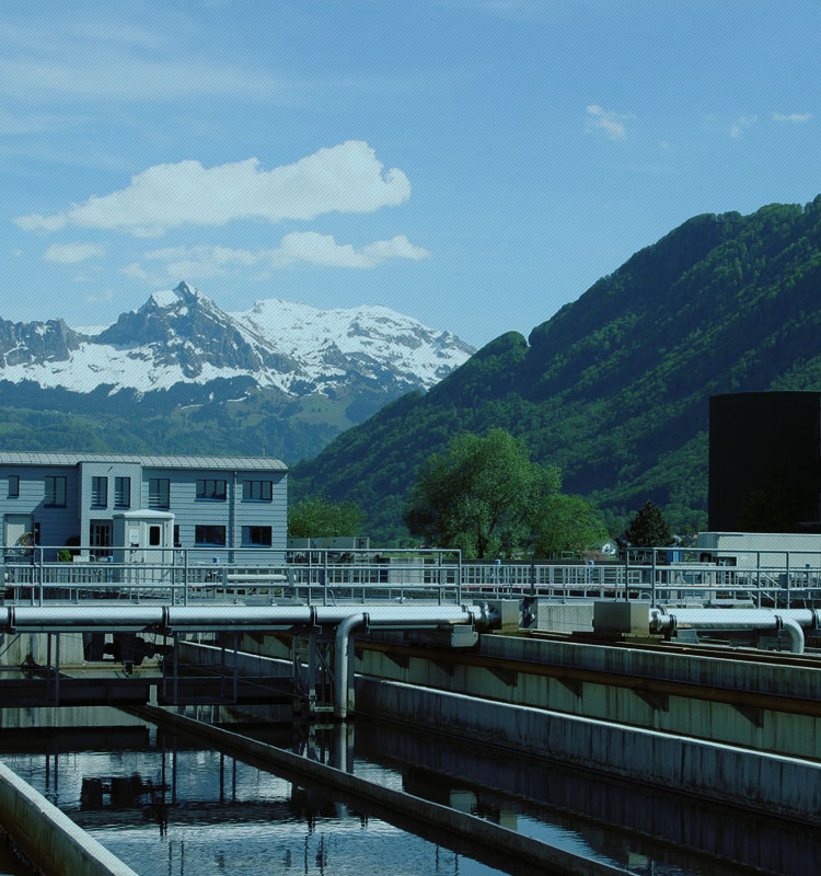 “酶”好环境 “菌”可改变