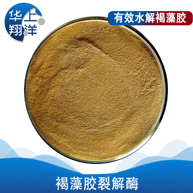 褐藻胶裂解酶-alginate lyase