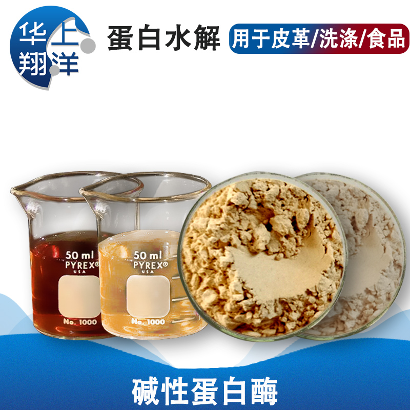 碱性蛋白酶-Alkaline protease