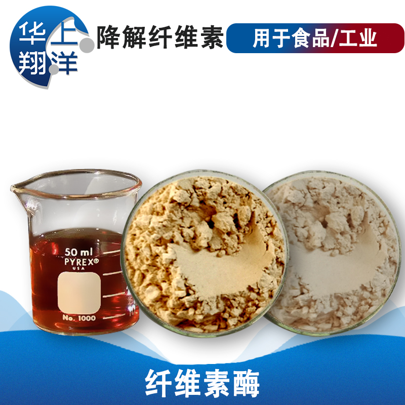 纤维素酶-Cellulase