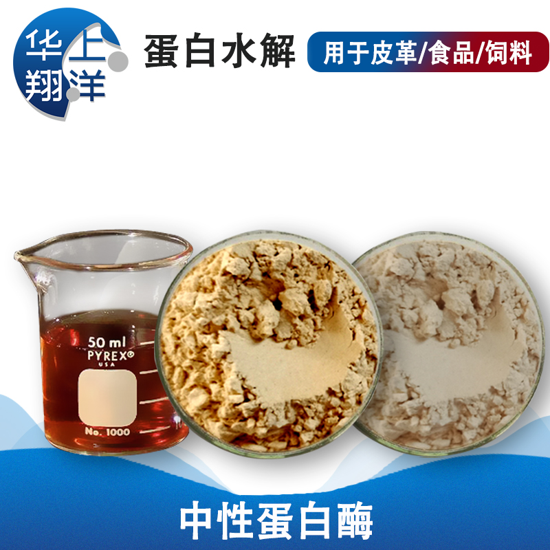 中性蛋白酶-Neutral protease