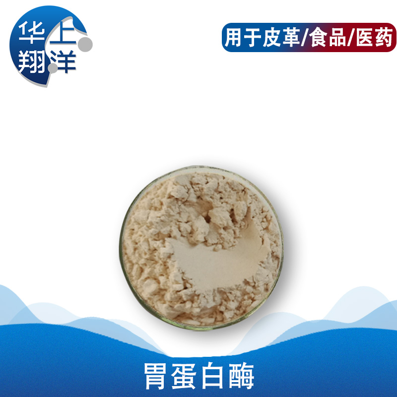 胃蛋白酶-Pepsin