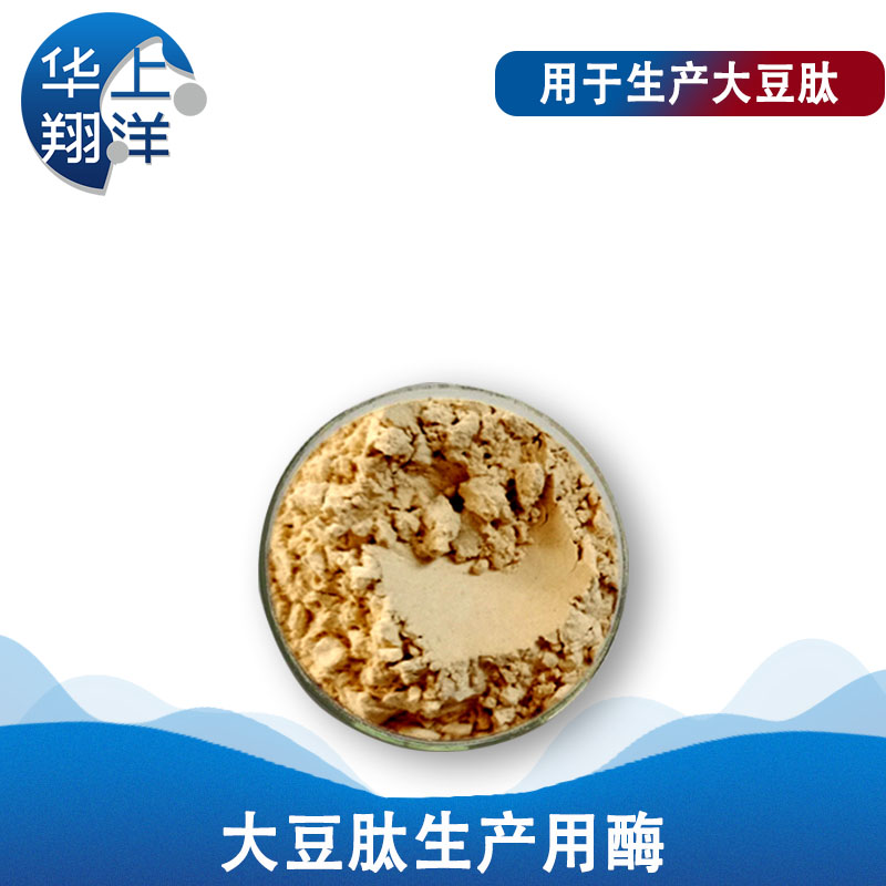 大豆肽生产用酶-Enzymes for soybean peptide production