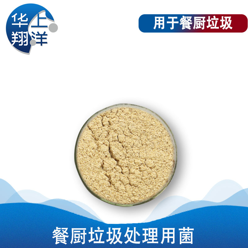 餐厨垃圾处理用菌-Mushroom for food waste treatment