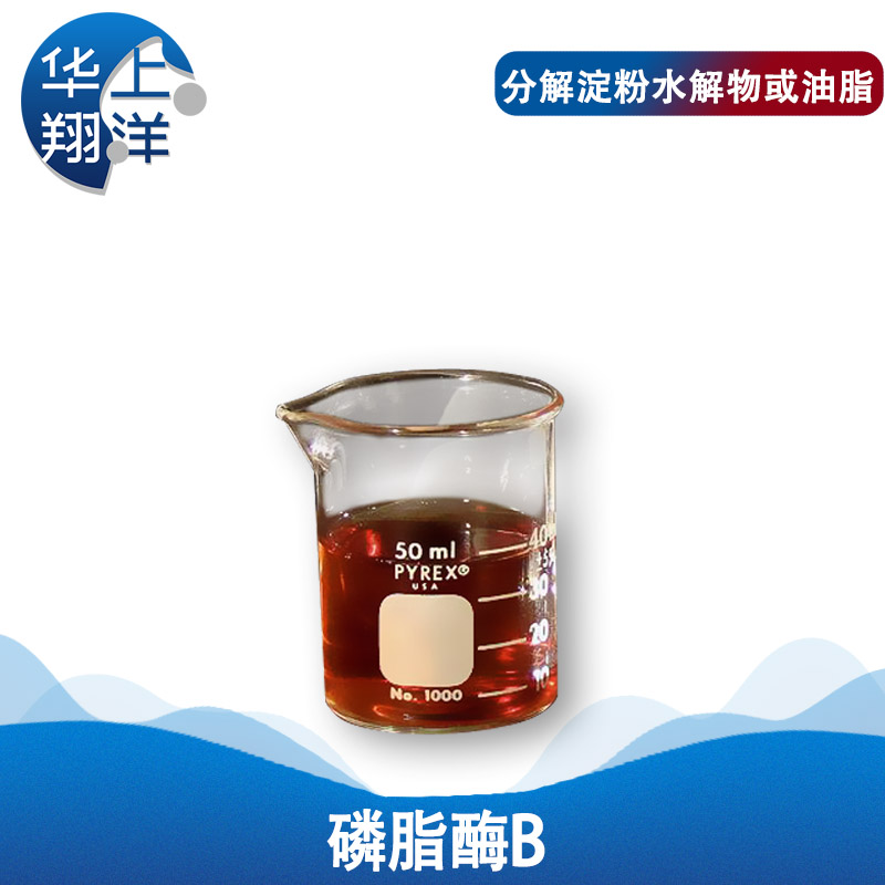 磷脂酶B、phospholipase b