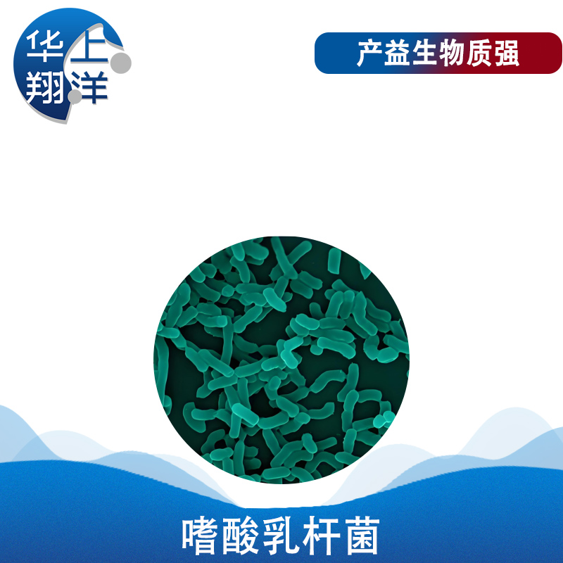 嗜酸乳杆菌-Lactobacillus acidophilus