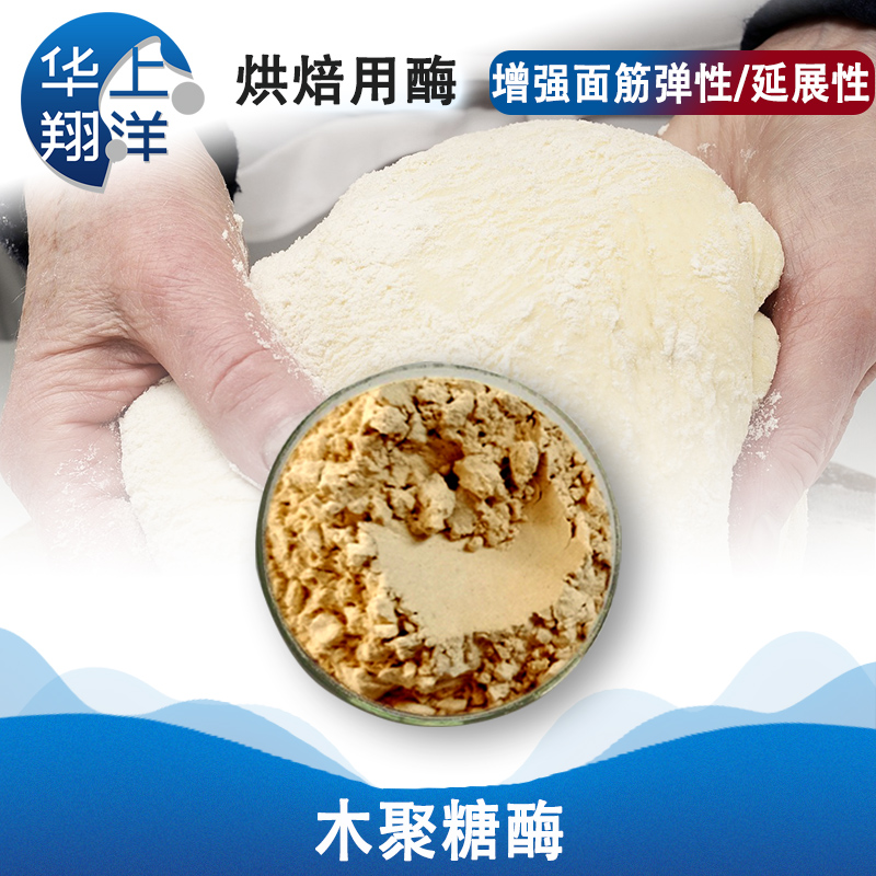 木聚糖酶-  xylanase